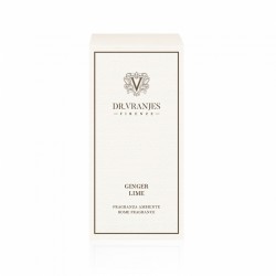 Diffusore GINGER LIME 100 ml spray