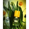 ABSINTH extrait de parfum 30 ml