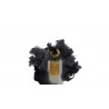 Nobile 1942 Estroverso 75 ml