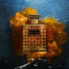 Ambre des Abysses EDP 100 ML
