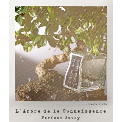 L'Arbre de la Connaissance Edp 100ml