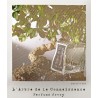 L'Arbre de la Connaissance Edp 100ml