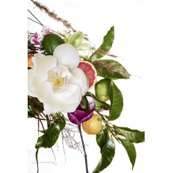 Magnolia Grandiflora Michel edp 50 ml