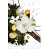 Magnolia Grandiflora Sandrine Edp 50 ml
